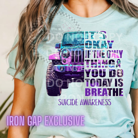 It’s Okay Iron Gap Exclusive Tee