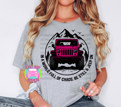 IN A WORLD FULL OF CHAOS Iron Gap Exclusive Tee (13 Design Colors)