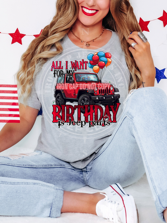 All I Want For My Birthday (2 Door) Tee