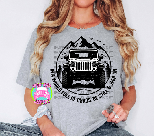 IN A WORLD FULL OF CHAOS Iron Gap Exclusive Tee (13 Design Colors)
