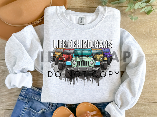Life Behind Bars Sweatshirt